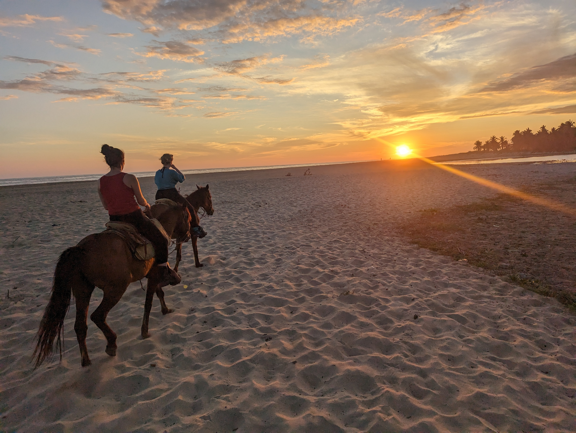 Beach sunset horseback riding